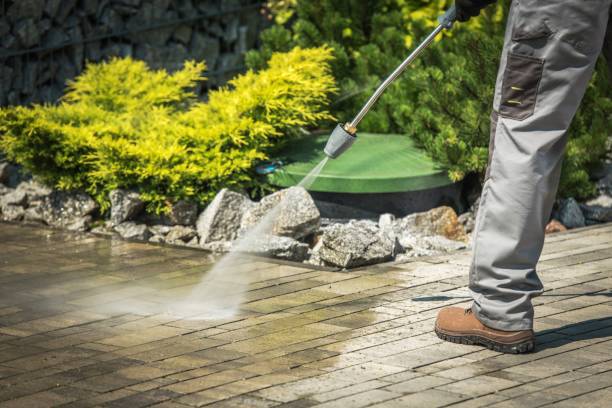 Best Sidewalk and Walkway Cleaning  in Burt, MI