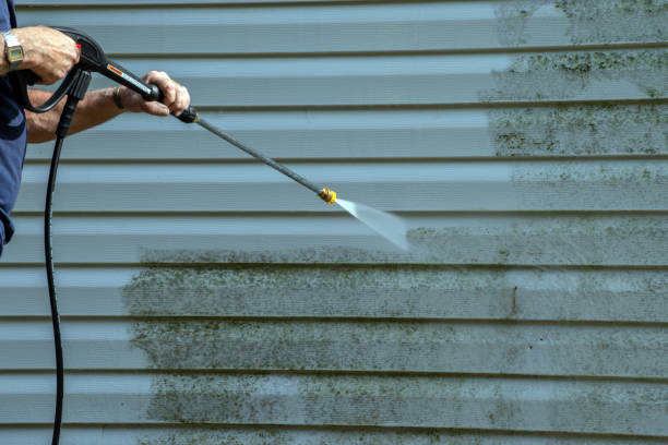 Best Solar Panel Cleaning  in Burt, MI