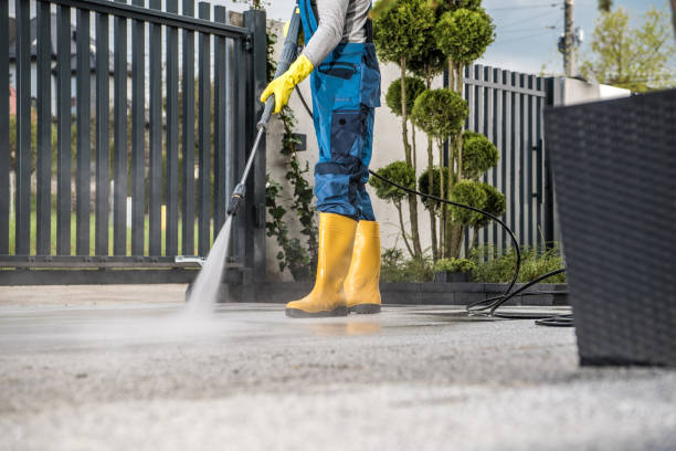 Best Dumpster Area Cleaning  in Burt, MI