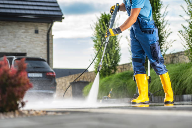Best Rust Removal  in Burt, MI